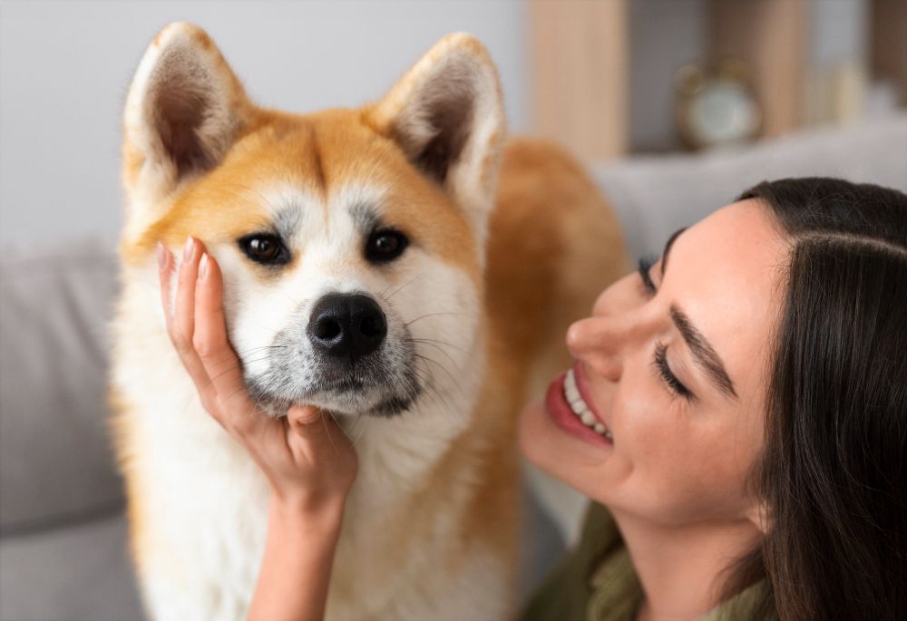 Choosing a dog - tips on how to choose the perfect candidate - article illustration from category tips